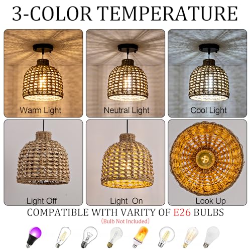 3 Pack Rattan Pendant Light (3 Count)