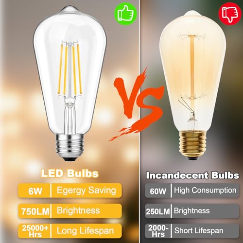 Vintage LED Edison Bulbs 60W Equivalent (12 Count)