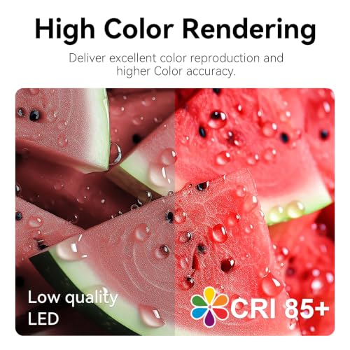 A19 LED Light Bulbs (24 Count)