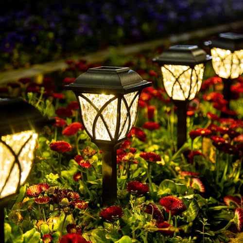 6 Pack Solar Lights Outdoor Waterproof (6 Count)