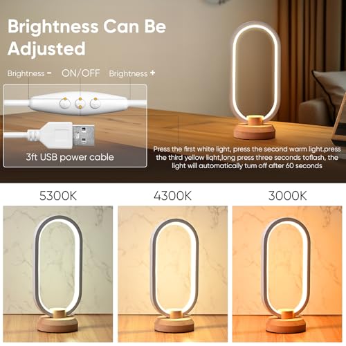 Modern Desk lamp LED Wood Table Lamp