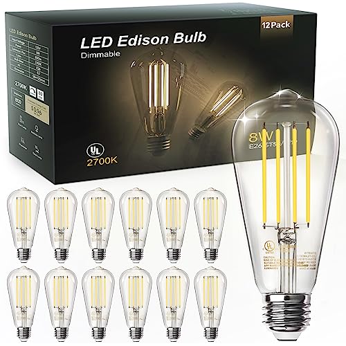 12 Pack Edison LED Light Bulbs (12 Count)