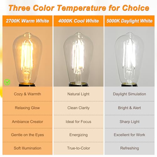 12 Pack Vintage LED Edison Light Bulb 60W Equivalent (12 Count)