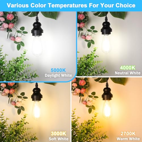 4 Pack Vintage Edison LED Bulbs (4 Count)