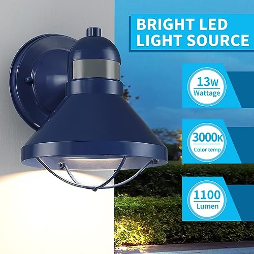 Motion Sensor Outdoor LED Wall Sconce Dusk to Dawn Exterior Barn Lighting