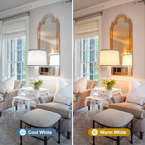 Drum Lamp Shades Set of 2