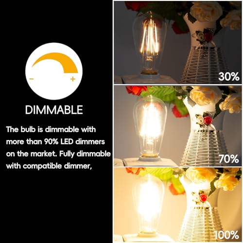 Edison Bulbs E26 LED Bulb 60 Watt Equivalent