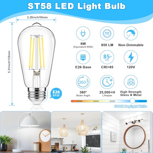 10 Pack Vintage Edison Bulbs 60W Equivalent (10 Count)