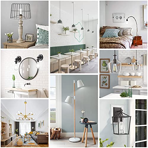 Dimmable Vintage LED Edison Bulbs 60W Equivalent 6W 850 Lumens (12 Count)