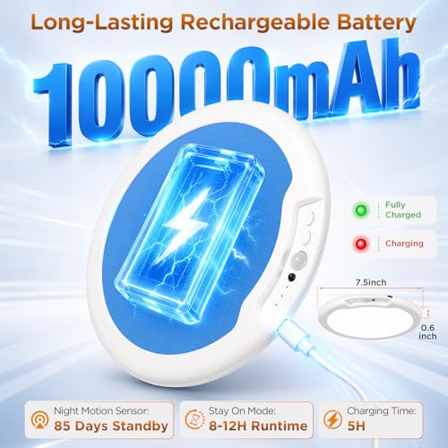 Rechargeable Ceiling Light
