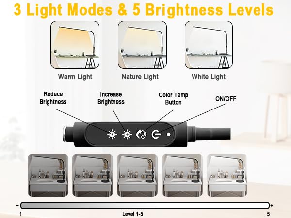 LED Desk Lamp