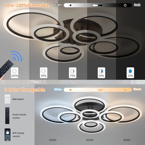 Modern Ceiling Light