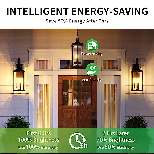 Dusk to Dawn Light Bulbs (2 Count)