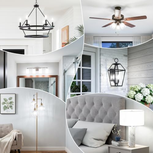 E12 LED Bulbs (12 Count)
