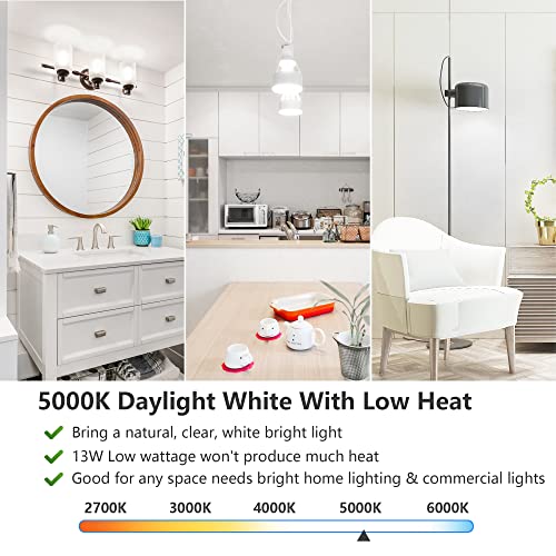 A19 LED Light Bulbs (4 Count)
