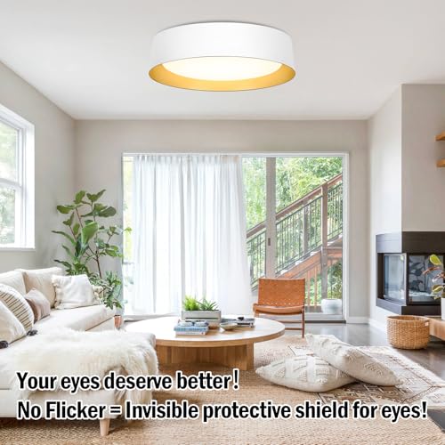 Flush Mount Ceiling Light