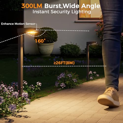 Solar Pathway Lights