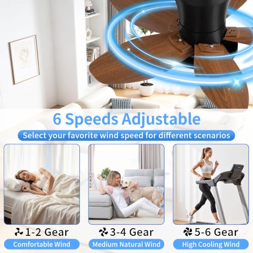 25" Small Ceiling Fans with Lights & Remote (Dark Brown)