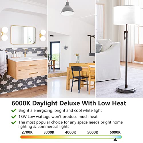 A19 LED Light Bulbs (4 Count)