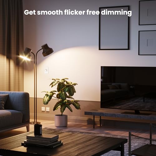 A19 LED Light Bulb (10 Count)
