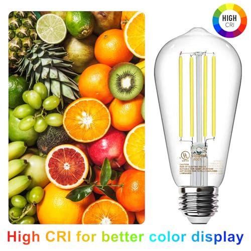 4 Pack Edison LED Light Bulbs (4 Count)