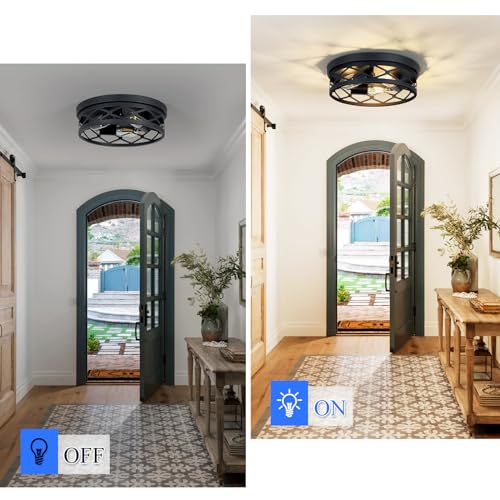 2 Pack Flush Mount Ceiling Light Fixture (2 Count)