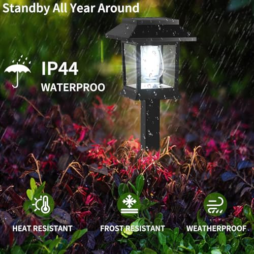 Solar Lights Outdoor
