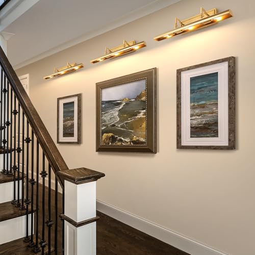 24 Inch Picture Light for Wall