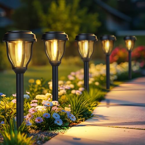 Solar Lights Outdoor (6 Count)