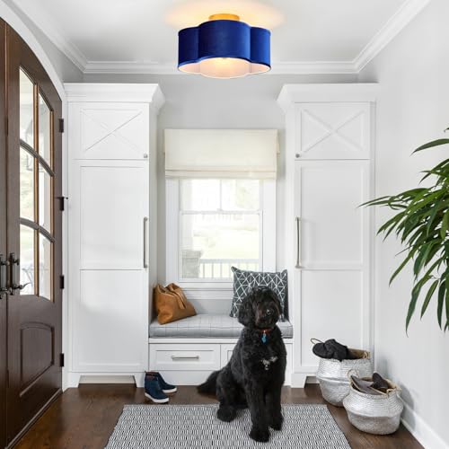 Modern Semi Flush Mount Ceiling Light Fixture
