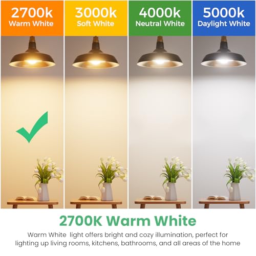 6 Pack A19 LED Light Bulbs (6 Count)