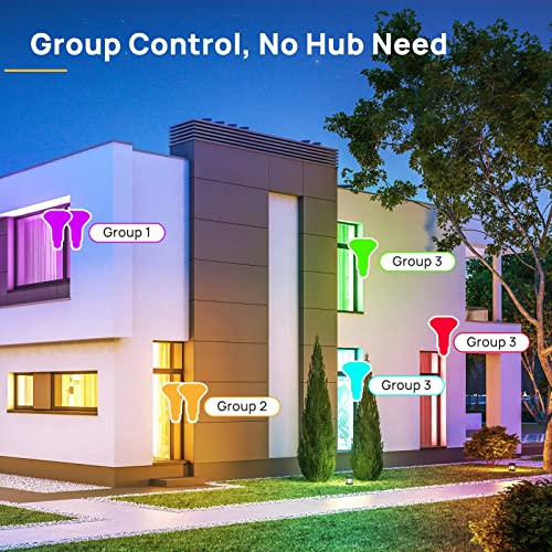 BR30 Smart Light Bulbs (4 Count)
