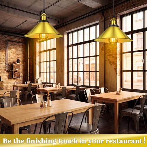 6 Pcs Industrial Pendant Light (6 Count)
