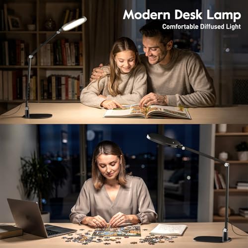 LED Desk Lamp for Home Office