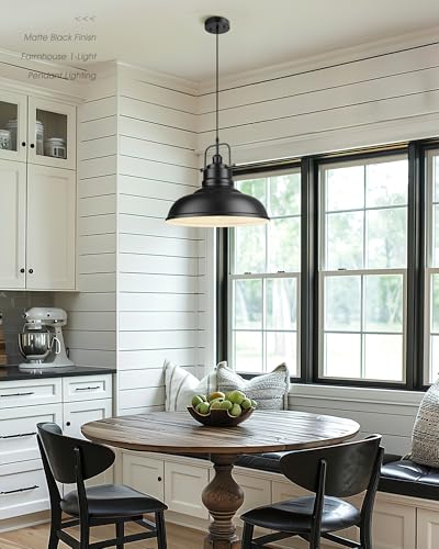 Modern Hanging Light Fixture