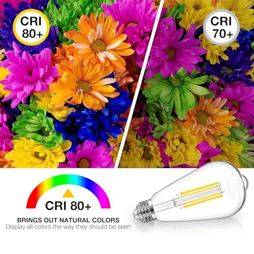 12 Pack Vintage LED Edison Bulbs (12 Count)