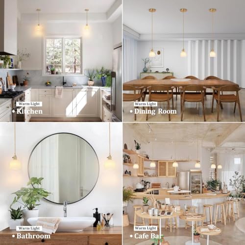 Pendant Light 2 Pack with White Tulip Glass Lmapshade (2 Count)