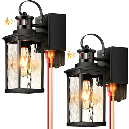 Outdoor Porch Light with Outlet (2 Count)