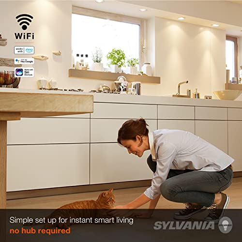 Sylvania WiFi LED Smart BR30 Light Bulb