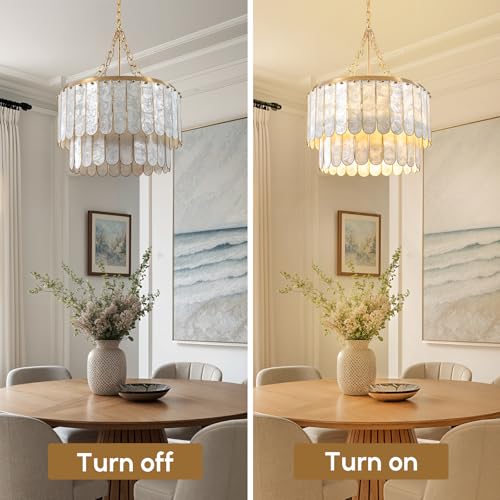Modern 5 Light Shell Chandelier