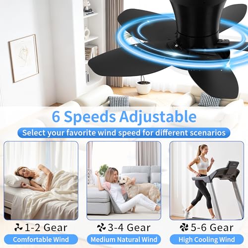 25 Inch Small Ceiling Fans with Lights (Black)
