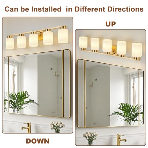 5 Light Bathroom Light Fixtures (5 Count)