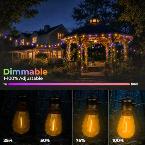 36 Pack S14 Orange and Purple Light Bulbs for String Lights (36 Count)