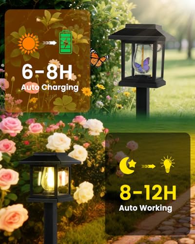 Solar Pathyway Lights Outdoor (2 Count)