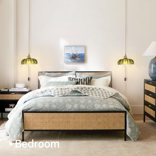 Plug in Pendant Light Hanging Light Fixtures with Plugin Cord On
