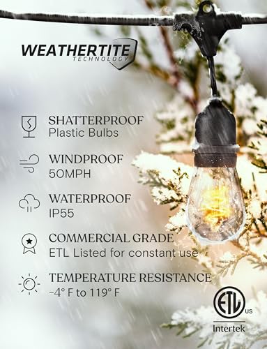 Ambience Pro Waterproof LED Outdoor String Lights (48 Foot)