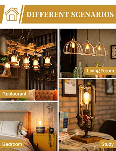 Edison Bulbs Light Bulbs (4 Count)
