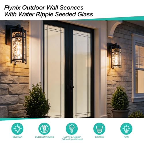 Outdoor Wall Light Fixtures (2 Count)