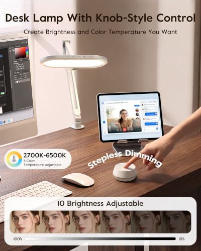Desk Lamp for Home Office with Clamp for Video Conference