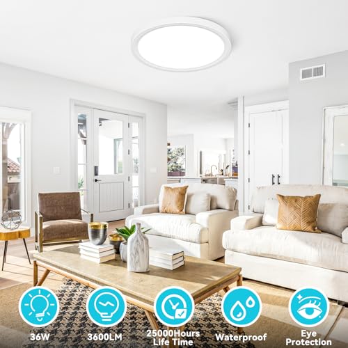16Inch Flush Mount LED Ceiling Light Fixture (2 Count)